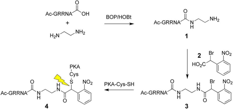 Scheme 2