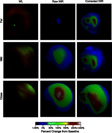 Fig. 3.