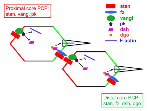 Figure 3.