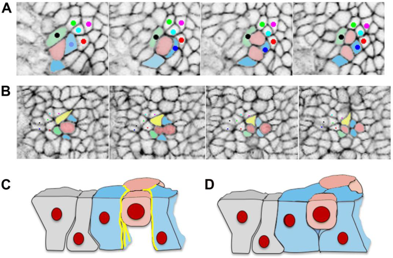 Figure 4.