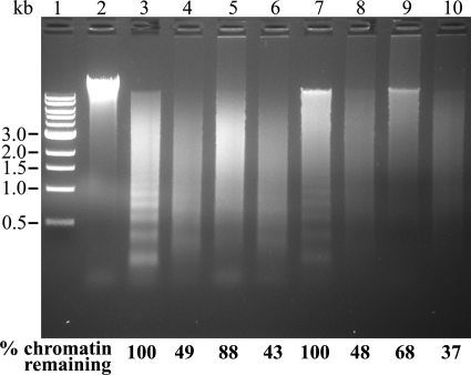 FIGURE 10.