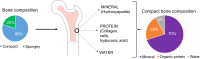 <b>FIG. 1.</b>