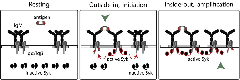 Fig. 3