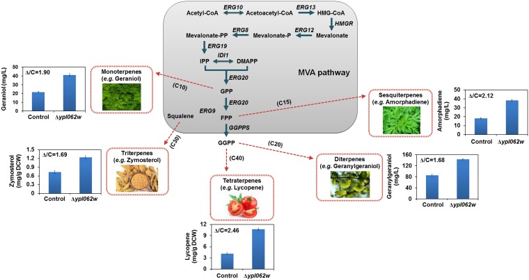 FIG 1