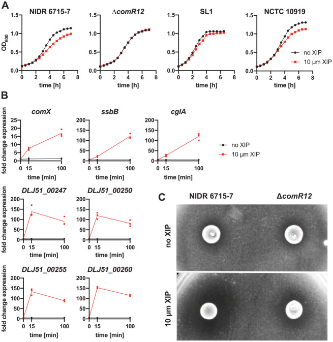 Figure 3.