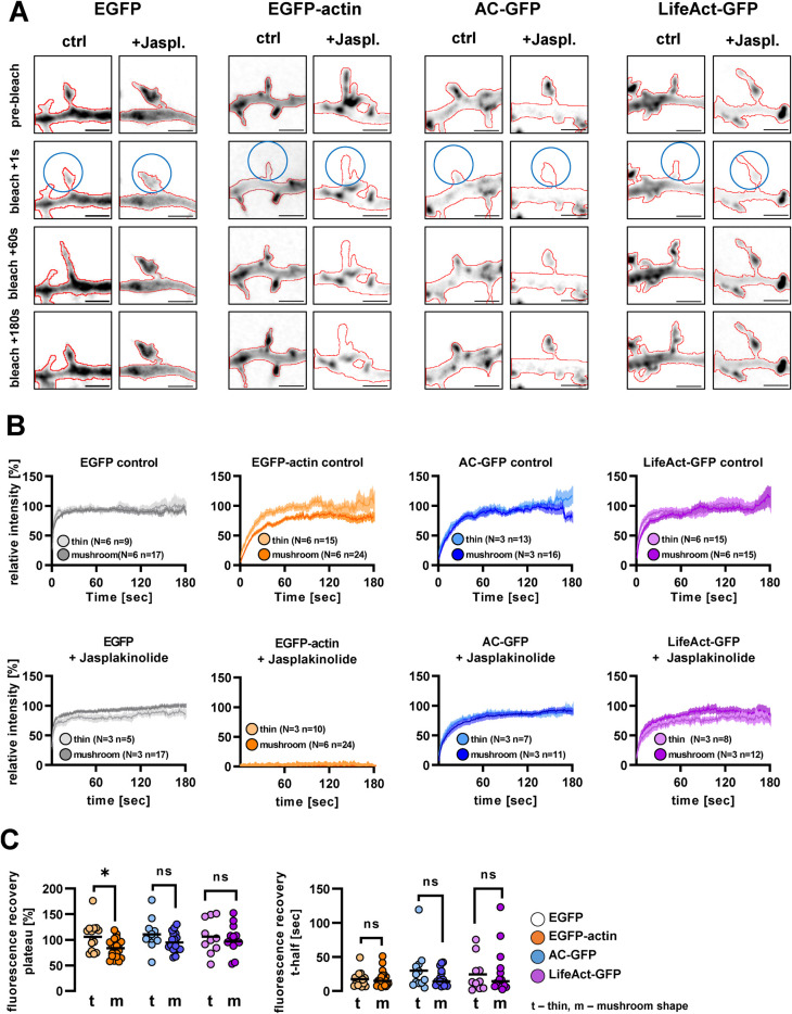 FIGURE 1: