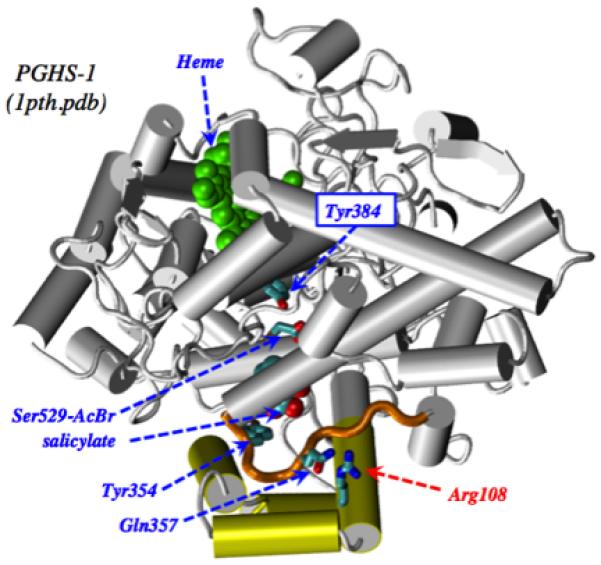 Fig. 9