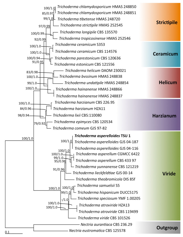 Figure 2