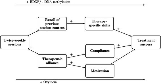 Frequency and change mechanisms of psychotherapy among depressed ...