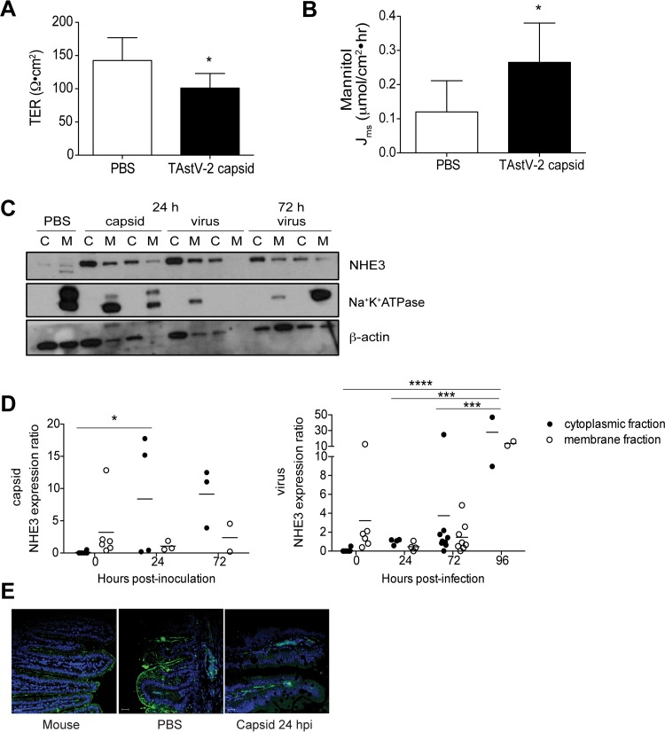 FIG 2 