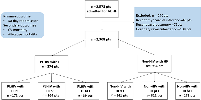 Figure 1 legend: