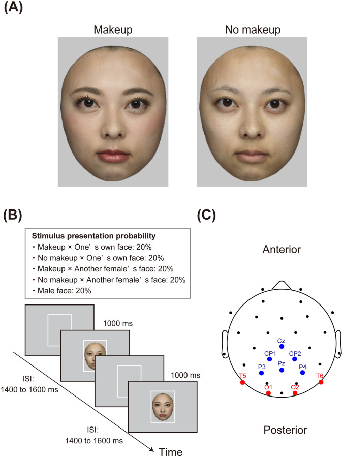 Fig 3