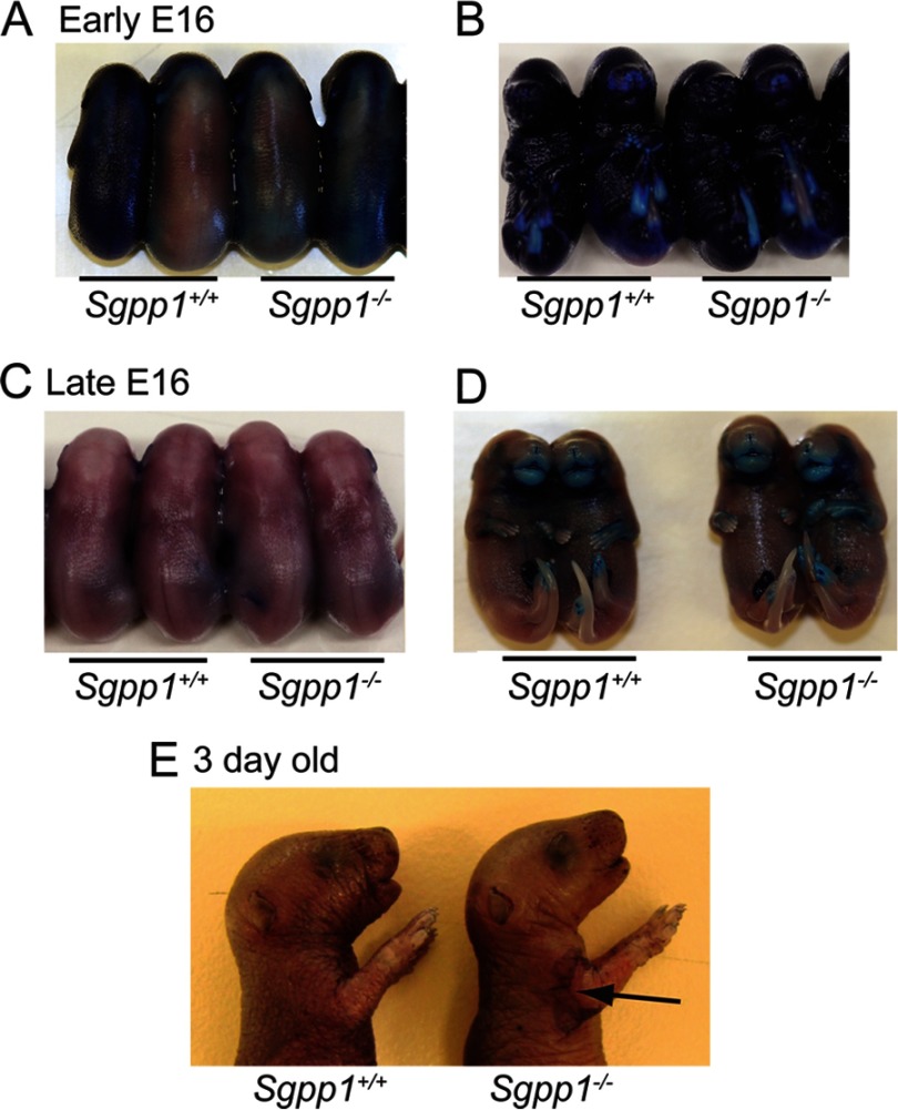 FIGURE 3.