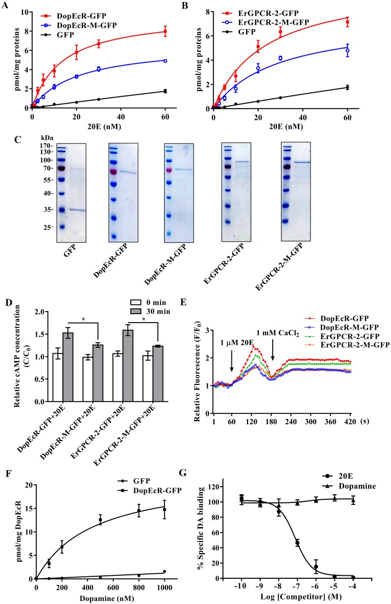 Fig 10