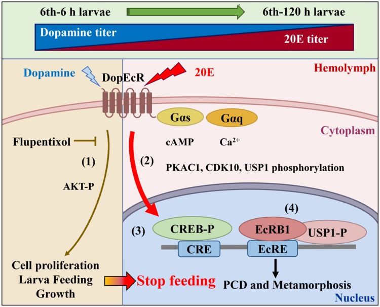 Fig 11