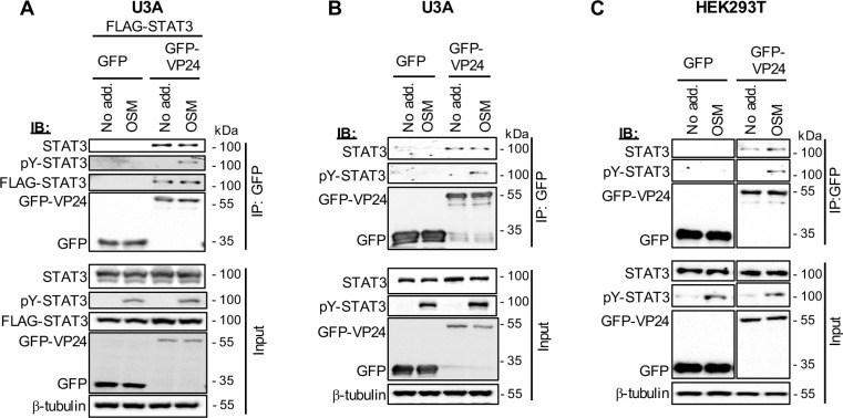 Fig 7