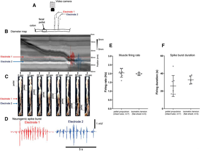 Figure 10.