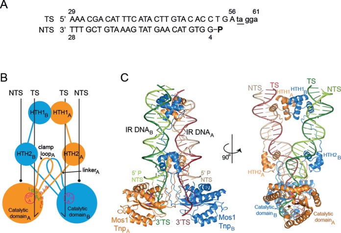 Figure 3.