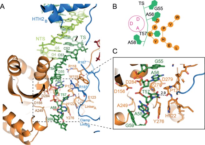 Figure 4.