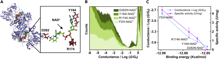 Figure 4