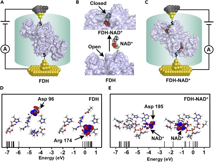 Figure 2