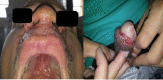 FIGURE 1: