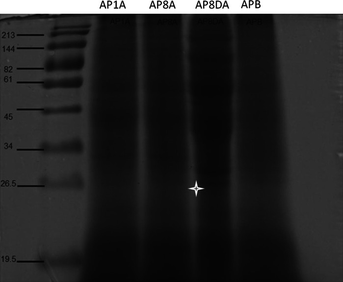 Fig. 3