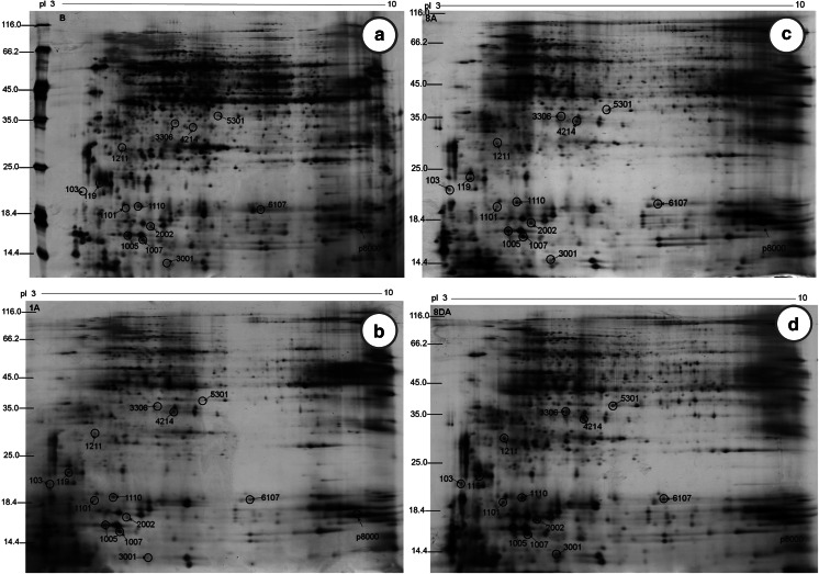 Fig. 4