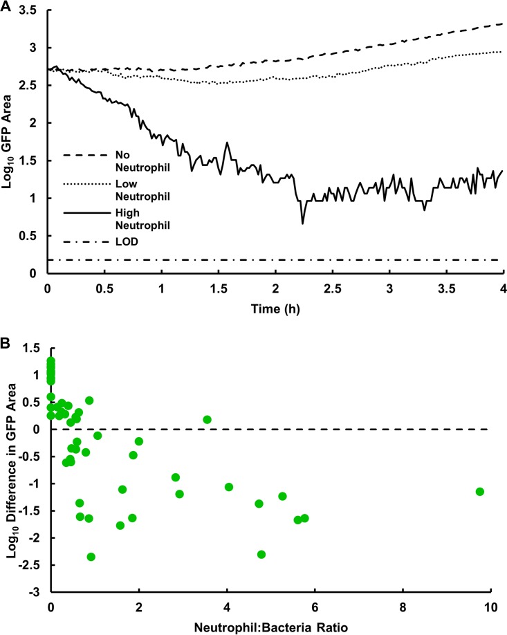 FIG 2