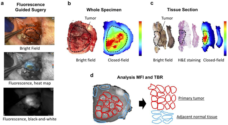 Figure 1: