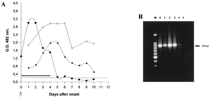 FIG. 4