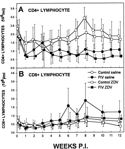 FIG. 6