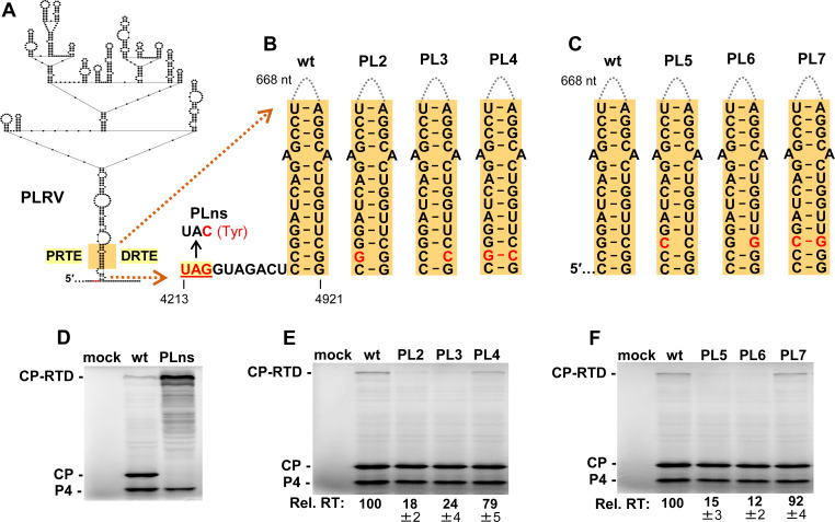 Fig 8