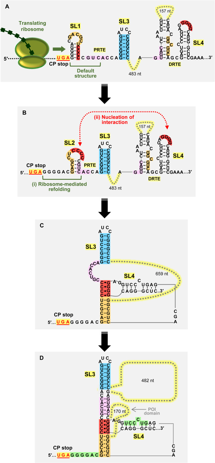 Fig 10