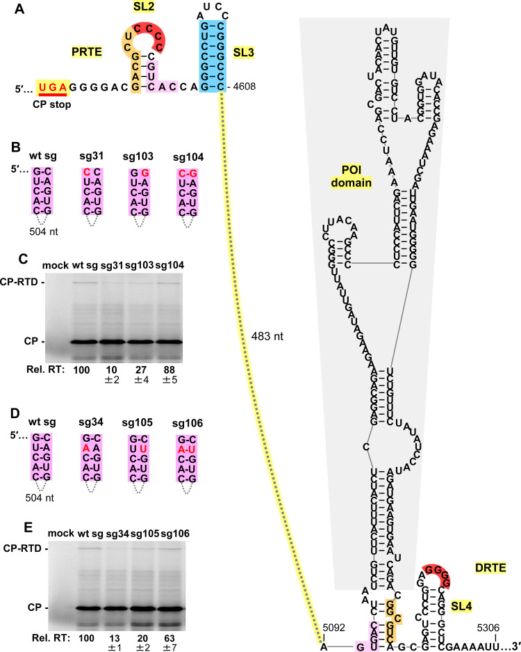 Fig 6