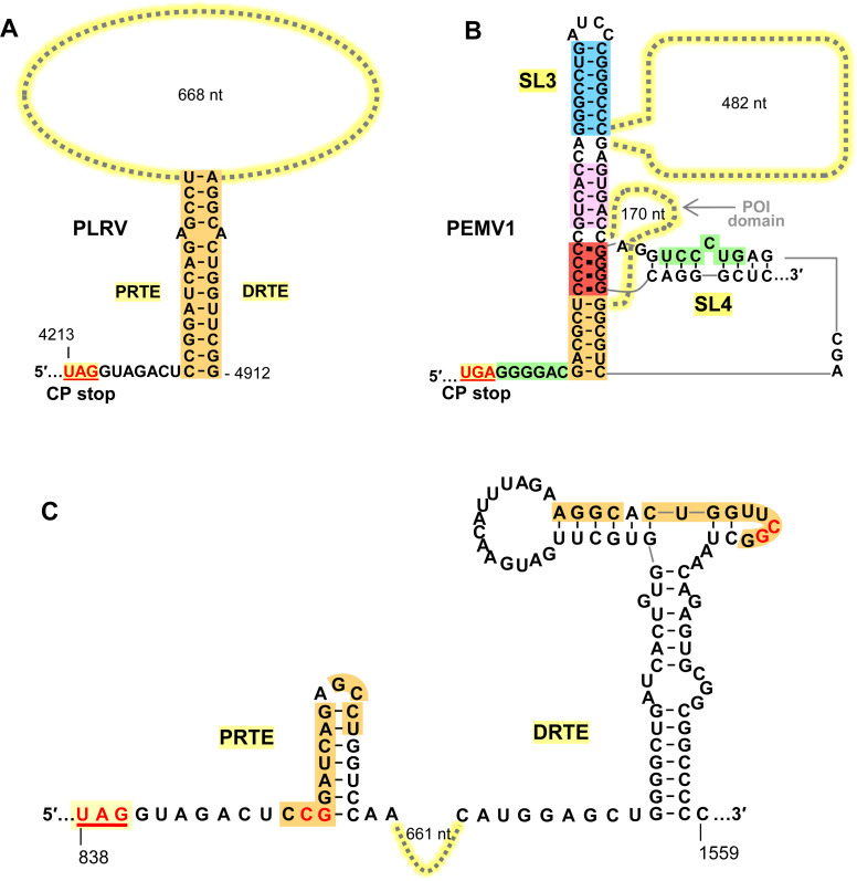 Fig 9