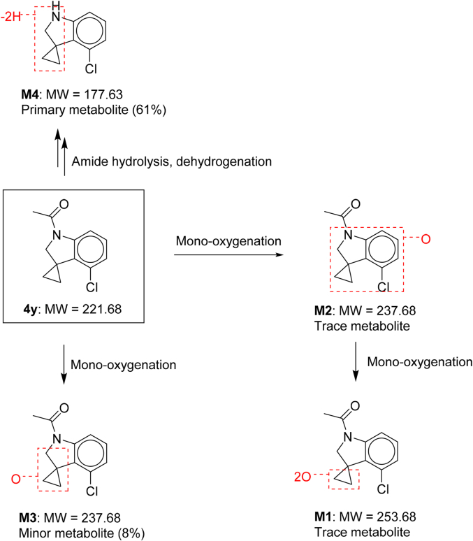 Scheme 2