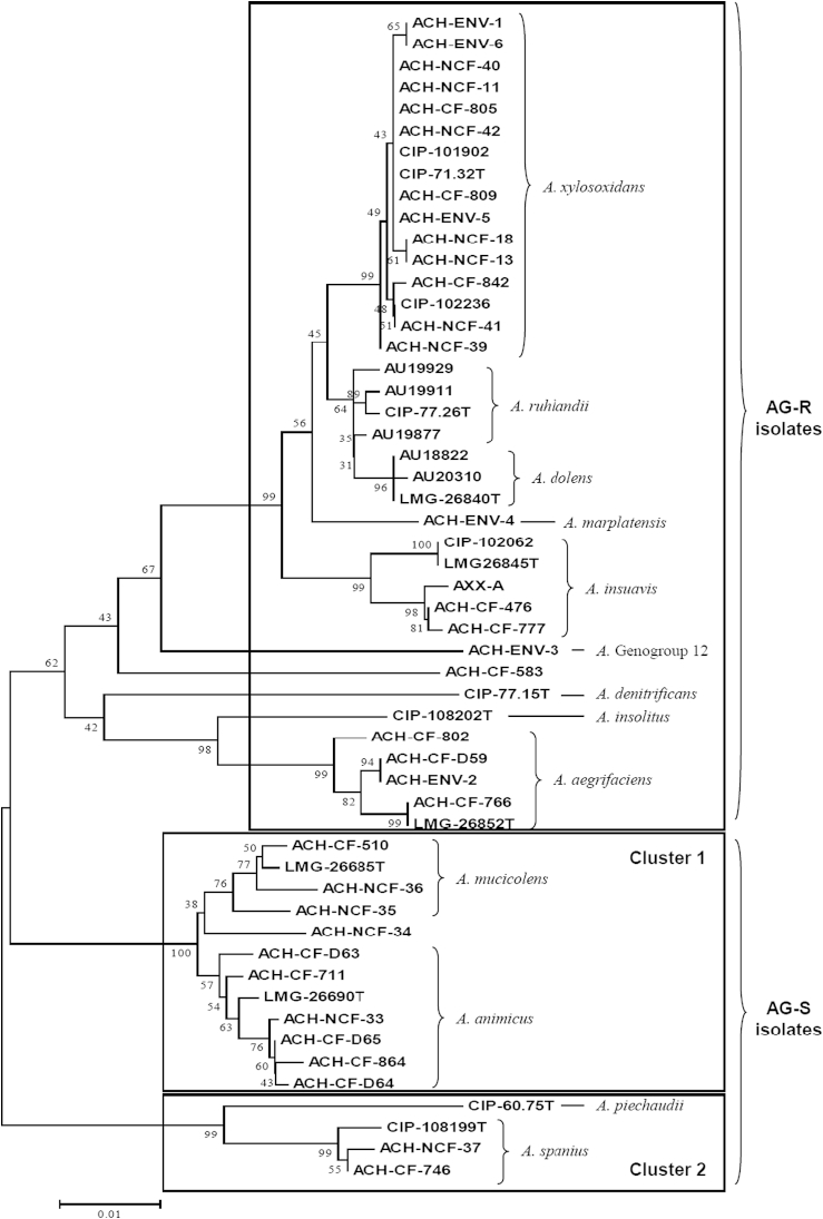 Fig. 2