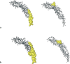 Fig10