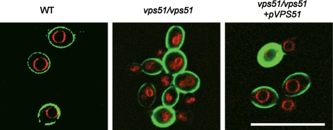 FIG. 6.