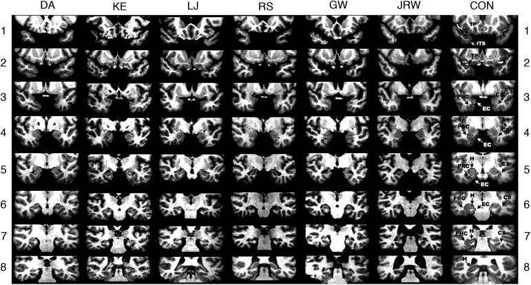 Figure 7.