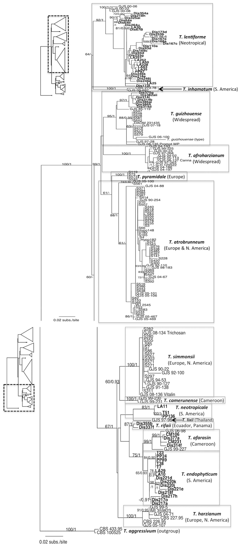 Fig. 2