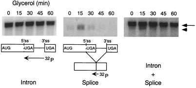 FIG. 8