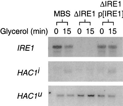 FIG. 9