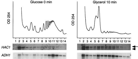 FIG. 7