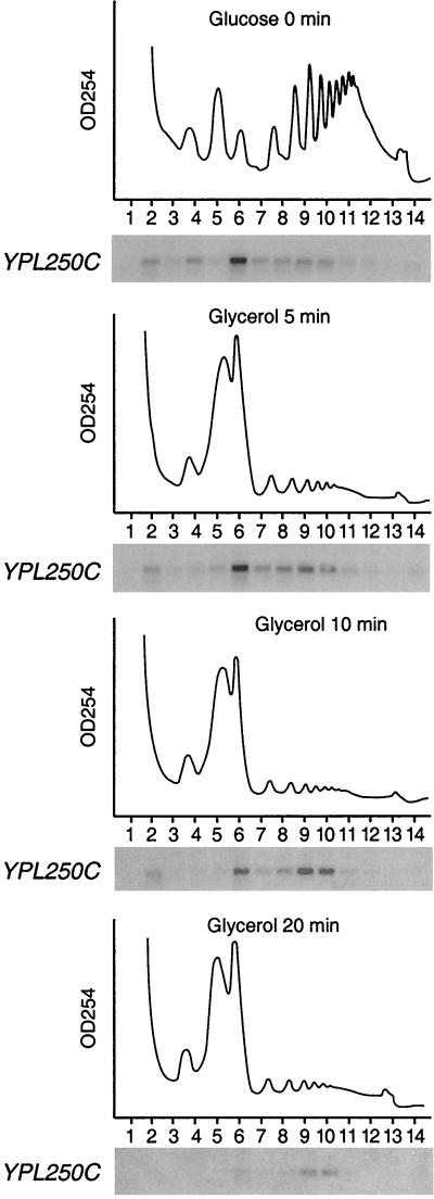 FIG. 6