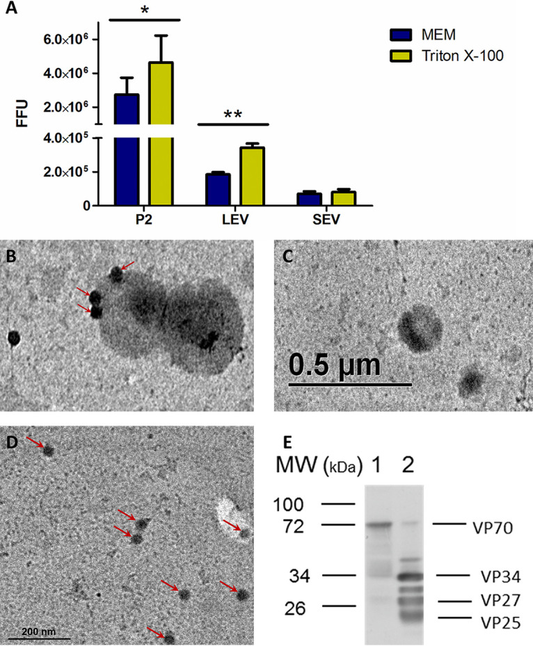 FIG 4