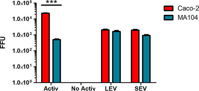 FIG 6