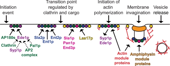 FIGURE 2: