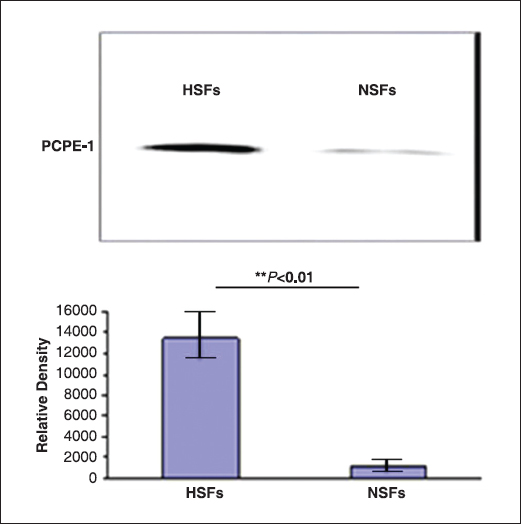 Figure 4: